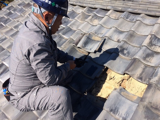 屋根点検