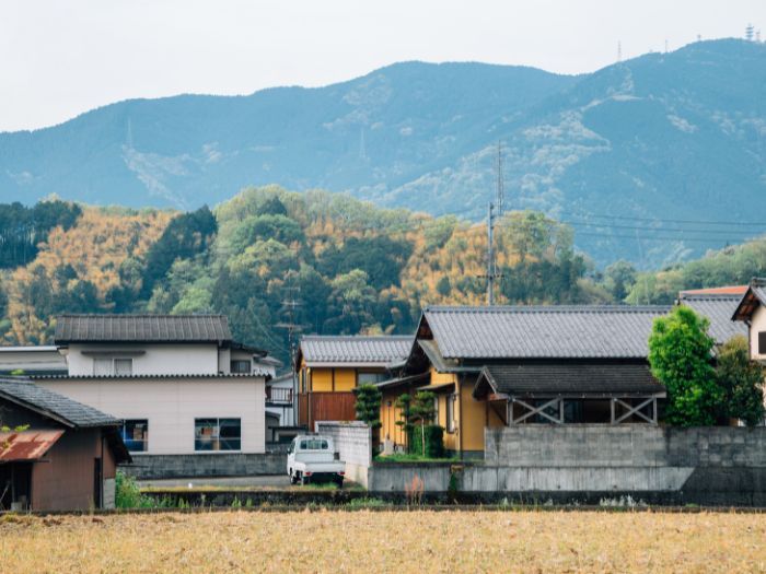 築30年超の高槻市の家に起こりやすい屋根の悩み